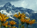 grandteton3