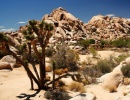 Kamenné kopce v NP Joshua Tree