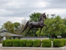 Lexington je známý zejména pro své koňské závody. Najdete tady ale také spoustu muzeí, lihovary nebo arboretum.