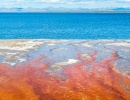 Lake Yellowstone, Wyoming - Amerika.cz