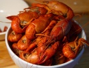 Maine Lobster Festival