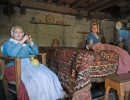 Pilgrims Plantation (2)