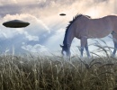 UFO a pasoucí se kůň