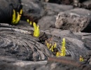 Národní park Hawaii Volcanoes