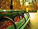 Zelená lavička v podzimním Central Parku v NY.