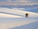 Žluté bábovičky jsou nudné, ve White Sands se dají dělat bílé