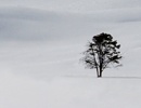 Zimní Yellowstone: Krajina z jiného světa